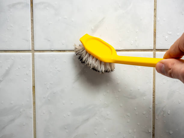 Best Commercial Mold Remediation in Country Knolls, NY