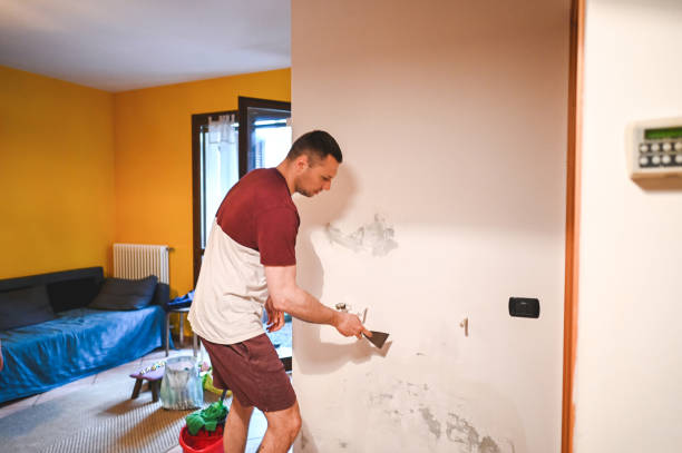 Best Post-Flood Mold Remediation in Country Knolls, NY